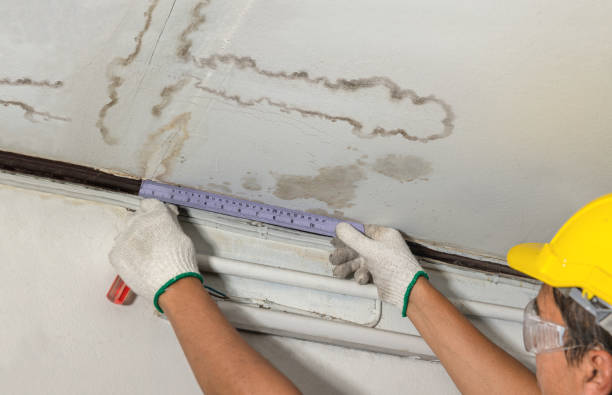 Reliable Structural Drying contractor in Barnstead, NH by Water Damage Irwin